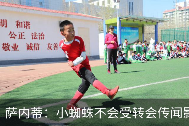 萨内蒂：小蜘蛛不会受转会传闻影响 帕斯可能成为阿根廷关键球员